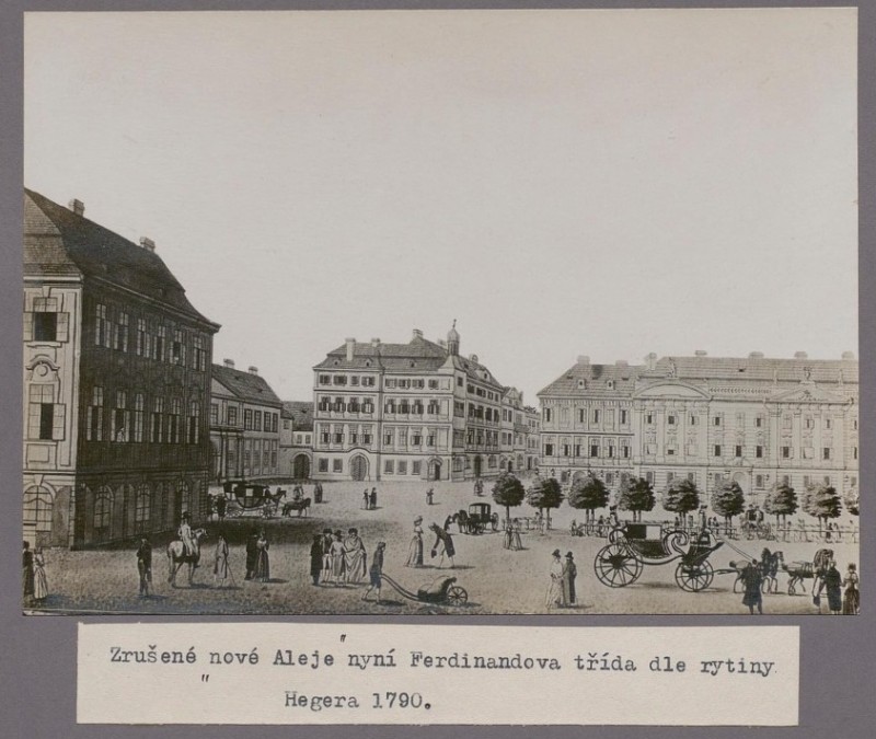 ZP-016-016.jpg