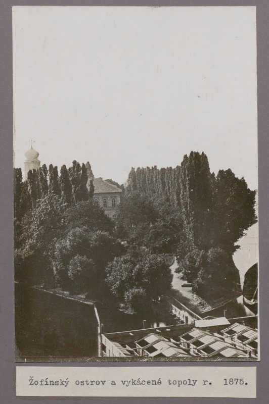 ZP-030-030.jpg