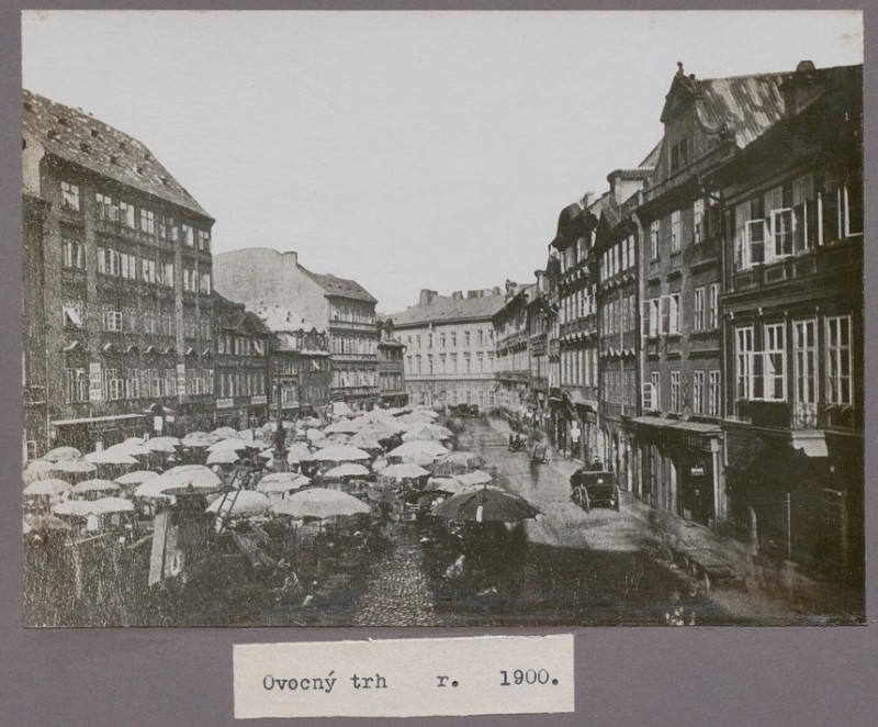ZP-033-033.jpg
