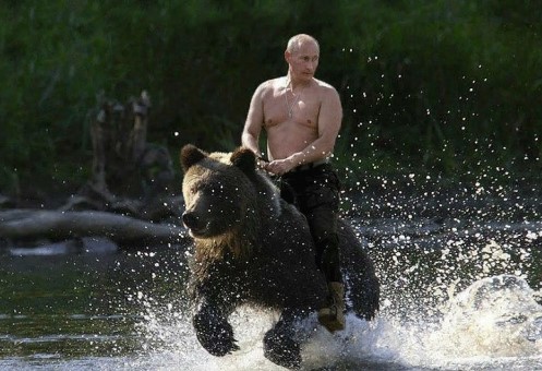 PutBear.jpg