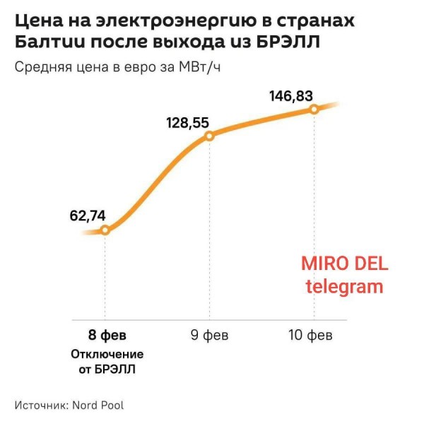 20250211a.jpg