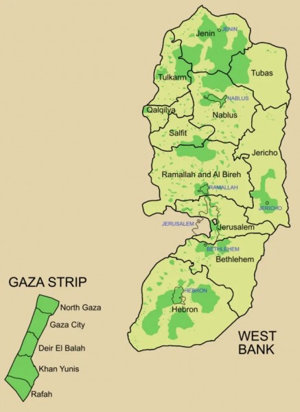 image1.jpg