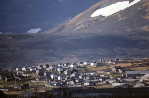 206e5.jpg