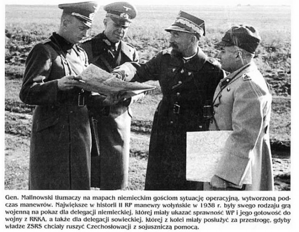 vystrizek-12[1].jpg