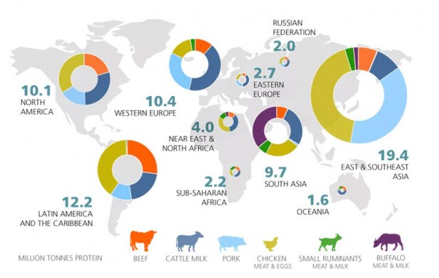 meat_production_protein_chart.jpg