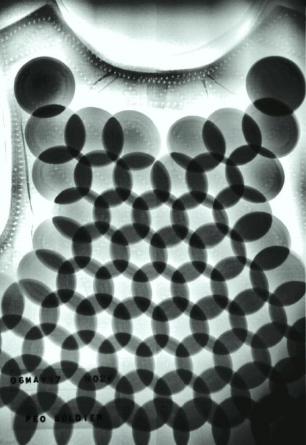 PEO_soldier_Dragonskin.jpg (65.25 KiB) Zobrazeno 30816 x PEO_soldier_Dragonskin.jpg